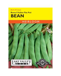 Phaseolus, Flat Bean (Bush) 'Roma II' Heirloom