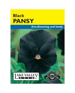 Viola, Pansy 'Black' Heirloom