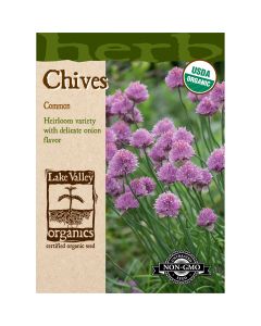 Allium, Chives 'Common' Organic Heirloom