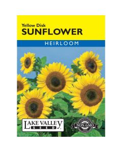 Helianthus, Sunflower 'Yellow Disk Heirloom