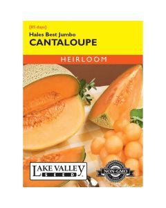 Cucumis, Cantaloupe 'Hales Best Jumbo' Heirloom