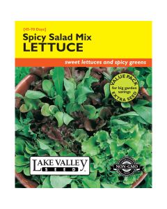Greens Mix 'Spicy Salad' Value Pack