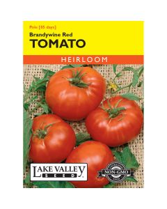 Solanum, Tomato Beefsteak (Pole) 'Brandywine Red' Heirloom