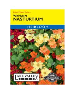 Tropaeolum, Dwarf Nasturtium Mix 'Whirlybird' Heirloom