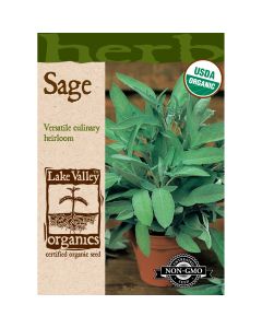 Salvia, Broadleaf Sage Organic Heirloom