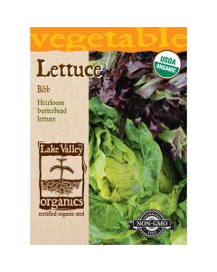 Lactuca, Butterhead Lettuce 'Bibb' Organic Heirloom