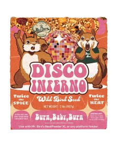 Mr. Bird Disco Inferno Large Cake