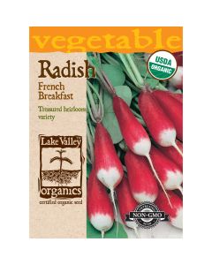 Raphanus, Breakfast Radish 'French' Organic Heirloom
