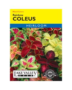 Coleus Mix 'Rainbow' Heirloom