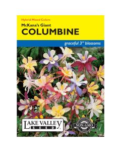 Aquilegia, Columbine Mix 'McKana’s Giants' Heirloom