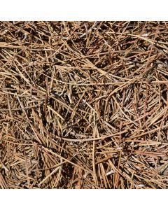 Pine Straw Mulch per bag