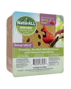hungrybird® NaturALL™ Protein-Filled Energy Cake with Berries 12 oz