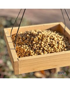 hungrybird® Blended Berry Energy Complete™ High Protein Suet Bites 3 lb