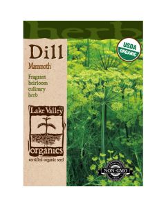 Anethum, Dill, Mammoth Dill, 1g