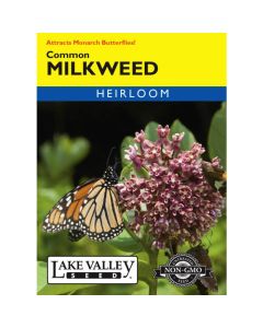 Asclepias, Common Milkweed, 0.4g