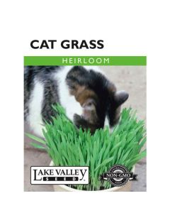 Avena, Cat Grass, 10g