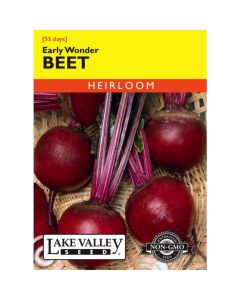 Beta, Beet, Early Wonder, 4g