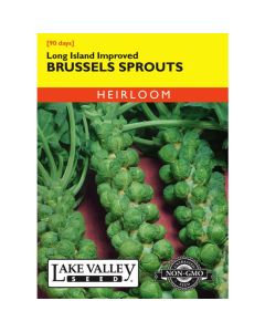 Brassica, Brussel Sprouts, Long Island Improved, 1.5g