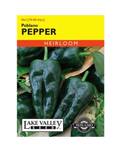 Capsicum, Pepper (Hot), Poblano Pepper, 0.3g