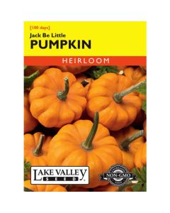 Cucurbita, Pumpkin, Jack Be Little, 1g