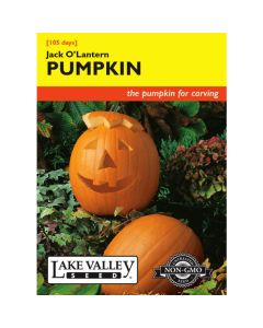Cucurbita, Pumpkin, Jack O'Lantern, 5g