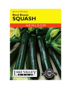 Cucurbita, Squash (Summer), Black Beauty Squash, 4g