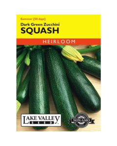 Cucurbita, Squash (Summer), Dark Green Zucchini Squash, 4g