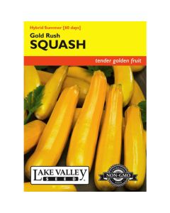 Cucurbita, Squash (Summer), Gold Rush Hybrid Squash, 3g