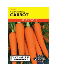 Daucus, Carrot, Royal Chantenay, 1.5g