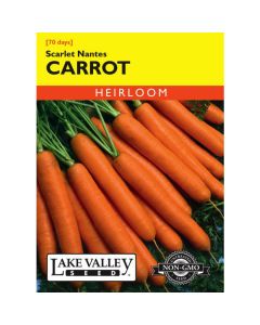 Daucus, Carrot, Scarlet Nantes, 1.5g