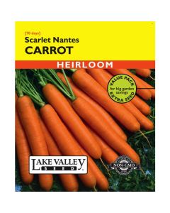Daucus, Carrot, Scarlet Nantes, Value Pack, 5g
