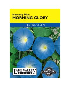 Ipomoea, Morning Glory, Heavenly Blue, 1.5g