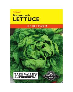 Lactuca, Lettuce, Buttercrunch, 1g