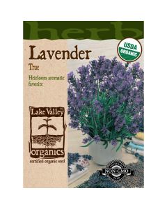 Lavendula, True Lavender, 0.3g