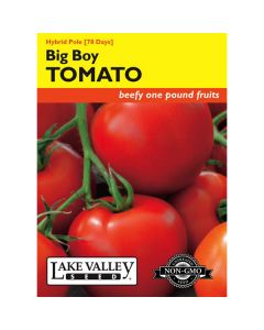 Solanum, Tomato (Pole), Big Boy Hybrid Tomato, 0.1g