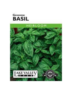 Ocimum, Basil, Genovese Basil, 0.5g