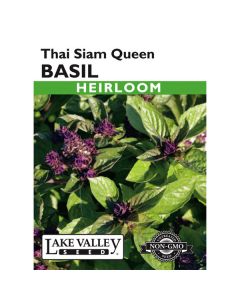 Ocimum, Basil, Thai Siam Queen Basil, 0.25g