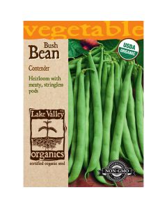 Phaseolus, Bean (Bush), Contender, 15g