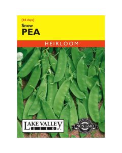 Pisum, Snow Pea (Bush) Heirloom