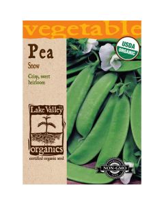 Pisum, Pea, Snow Pea (Bush), 20g