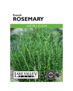 Rosemarinus, French Rosemary, 0.1g