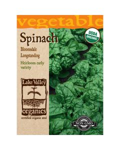 Spinacia, Spinach, Bloomsdale Longstanding Spinach, 4g