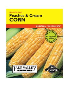Zea, Sweet Corn, Peaches & Cream Hybrid, Value Pack, 20g