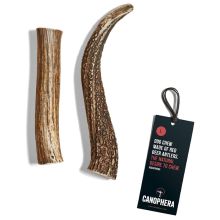 Dog Chew Made of Red Deer Antlers Whole
