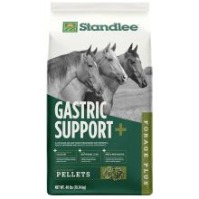 Standlee Forage Plus Gastric Support Pellets Horse Feed, 40 lb Bag