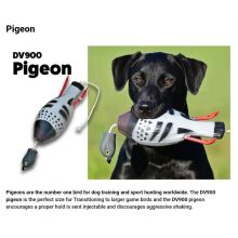 Dokken Dead Fowl Pigeon