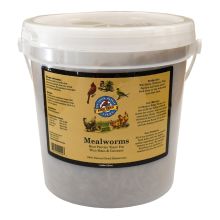 Meadow Ridge Farms&reg; Wildbird % Poultry Treat 'Mealworms'